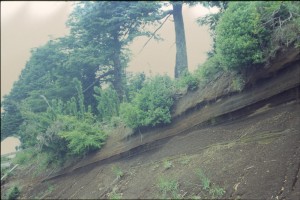 0239 Villarrica - silnice k vlekům.jpg